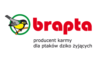 Brapta