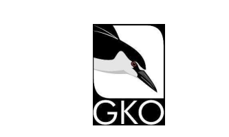 GKO